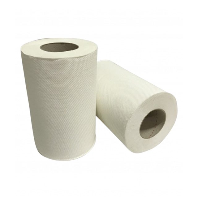 Poetsrol Mini 1L - 12rx20x120m - cell.